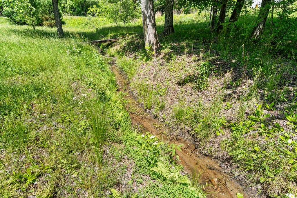 11985 Hwy 294, Murphy MD 20906 - Photo