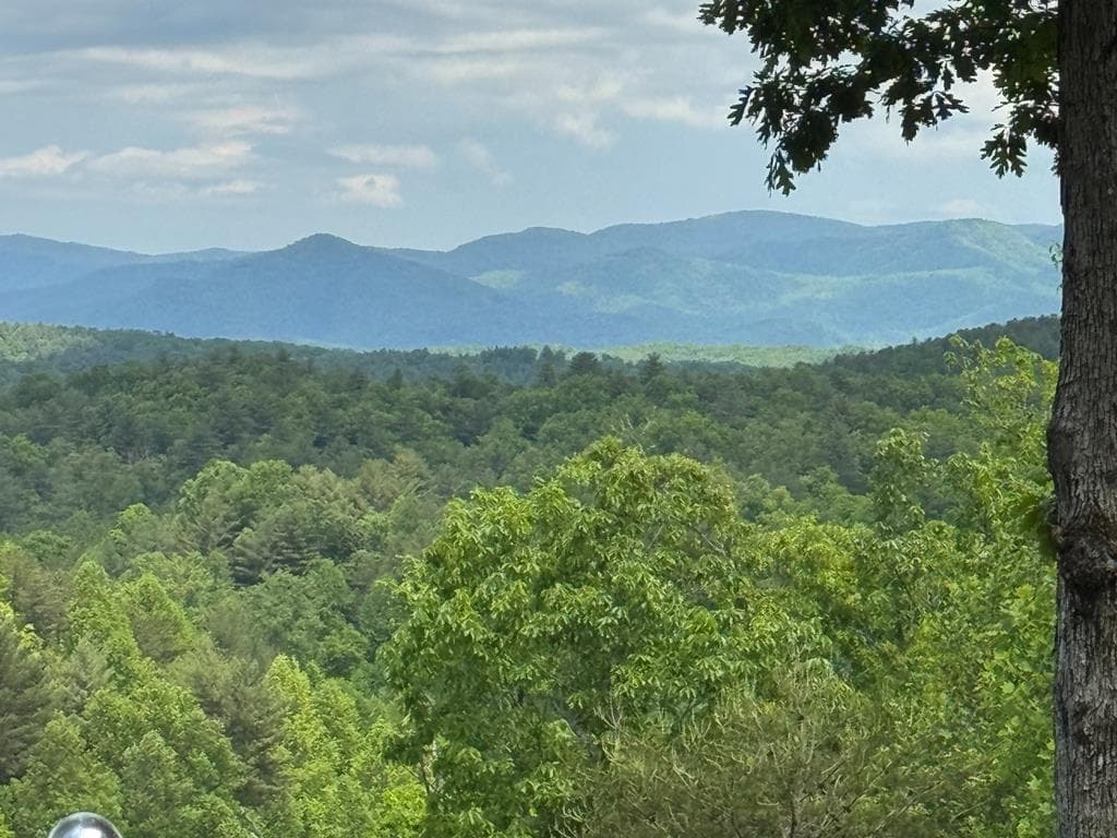 1055 Carolina Fox Circle, Murphy NC 28906 - Photo