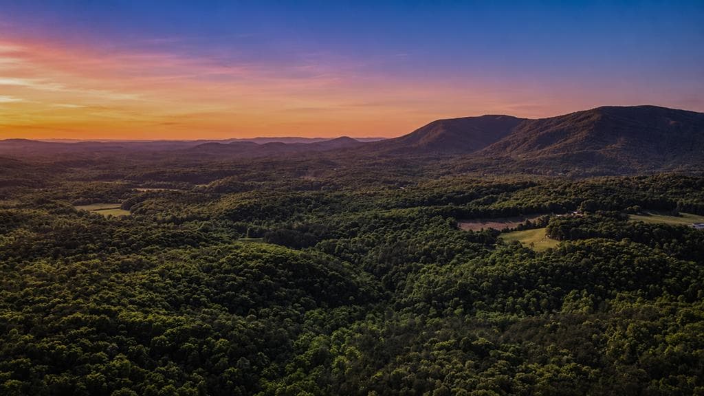 361 Rising Star Road, Ellijay GA 30536 - Photo