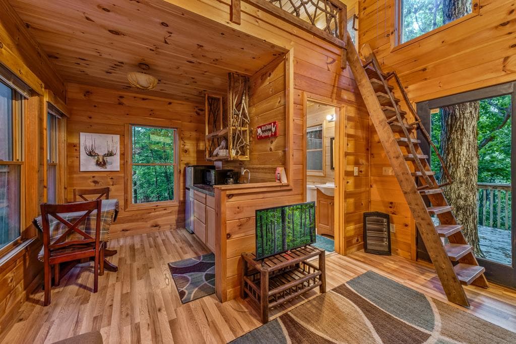 28 Hawkeye Ridge, Blue Ridge GA 30513 - Photo