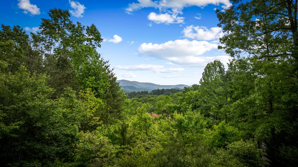 28 Hawkeye Ridge, Blue Ridge GA 30513 - Photo