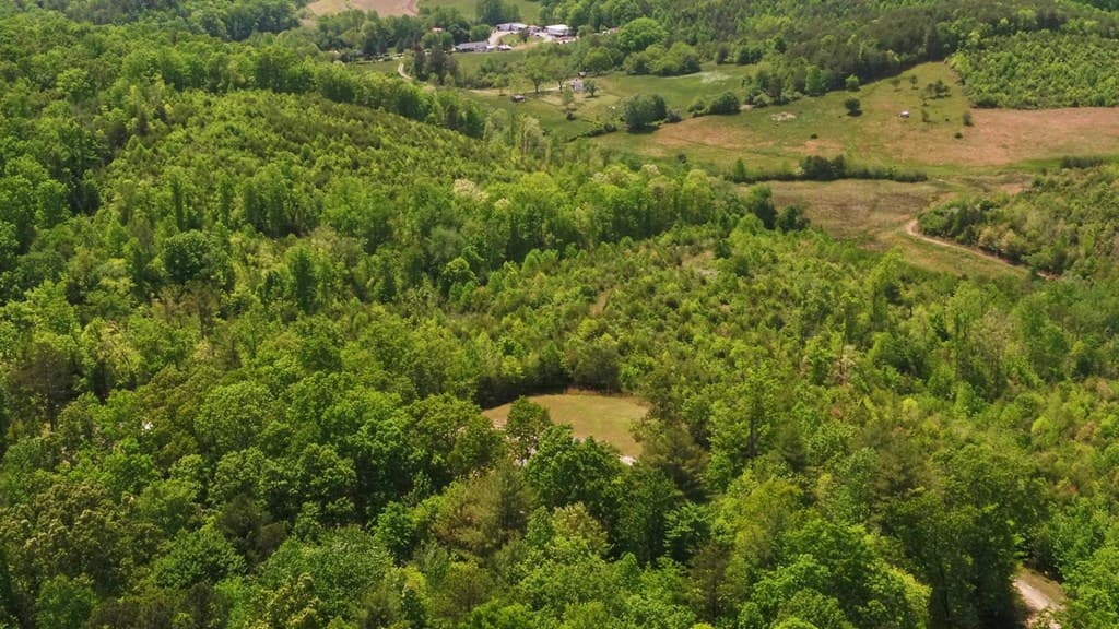 322 Deer Haven Trail, Murphy NC 28906 - Photo