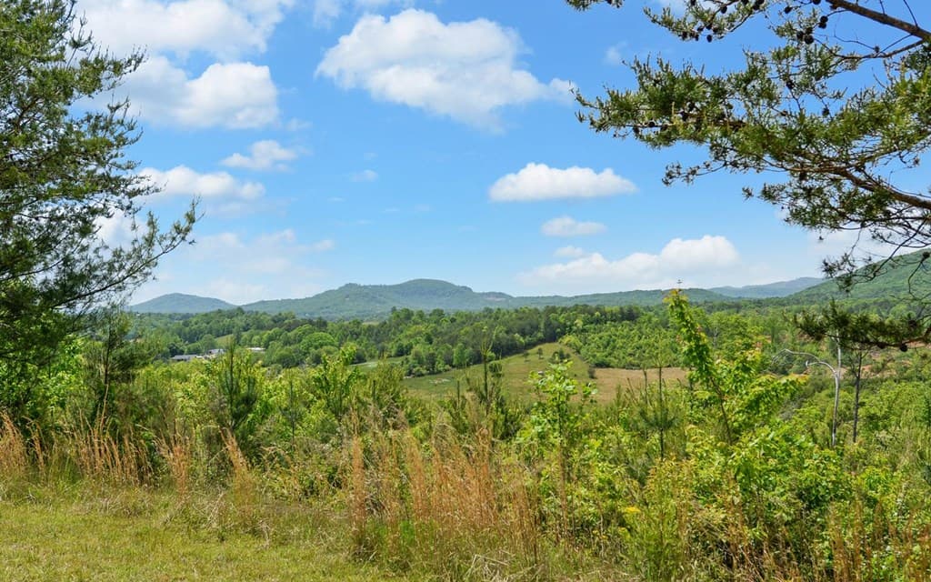 322 Deer Haven Trail, Murphy NC 28906 - Photo