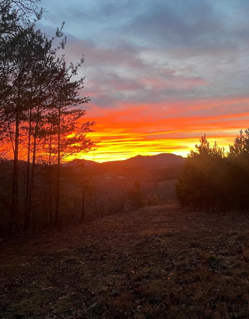 322 Deer Haven Trail, Murphy NC 28906 - Photo