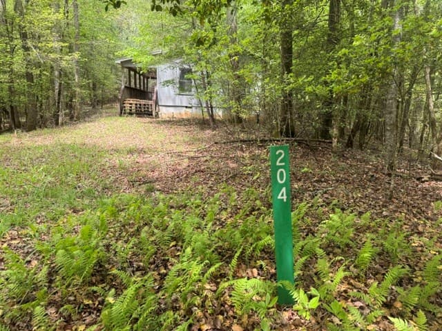 204 Grizzle Bear Lane, Suches GA 30572 - Photo