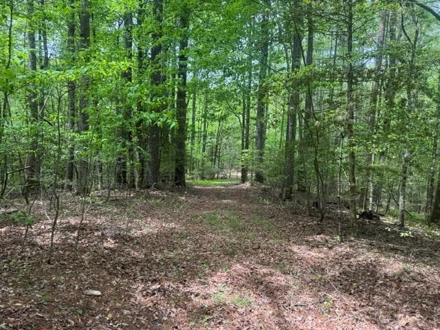 204 Grizzle Bear Lane, Suches GA 30572 - Photo