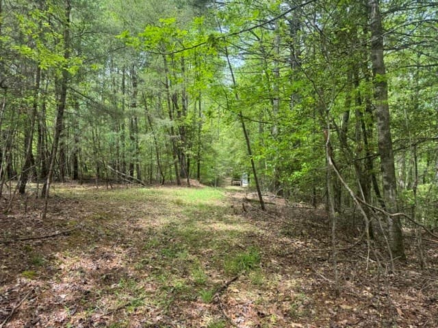 204 Grizzle Bear Lane, Suches GA 30572 - Photo