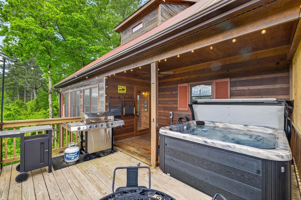 170 Wildwood Court, Ellijay GA 30540 - Photo