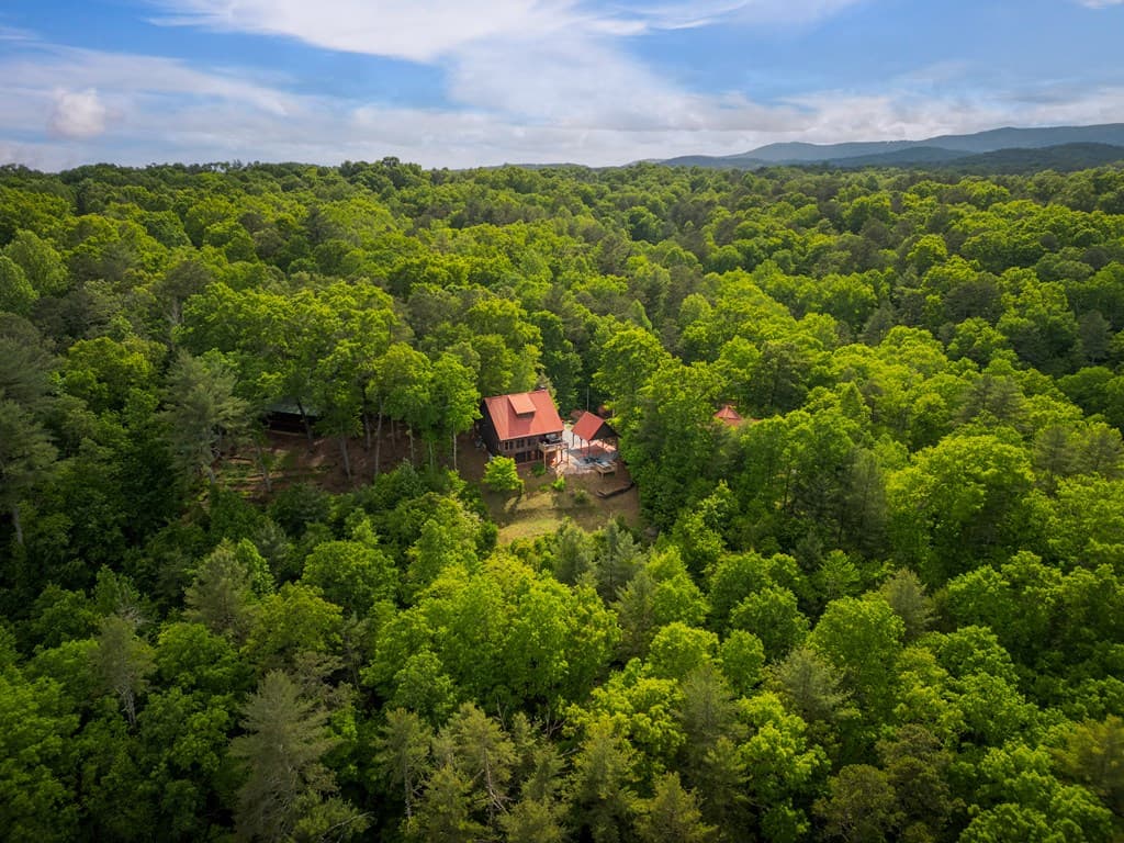 170 Wildwood Court, Ellijay GA 30540 - Photo