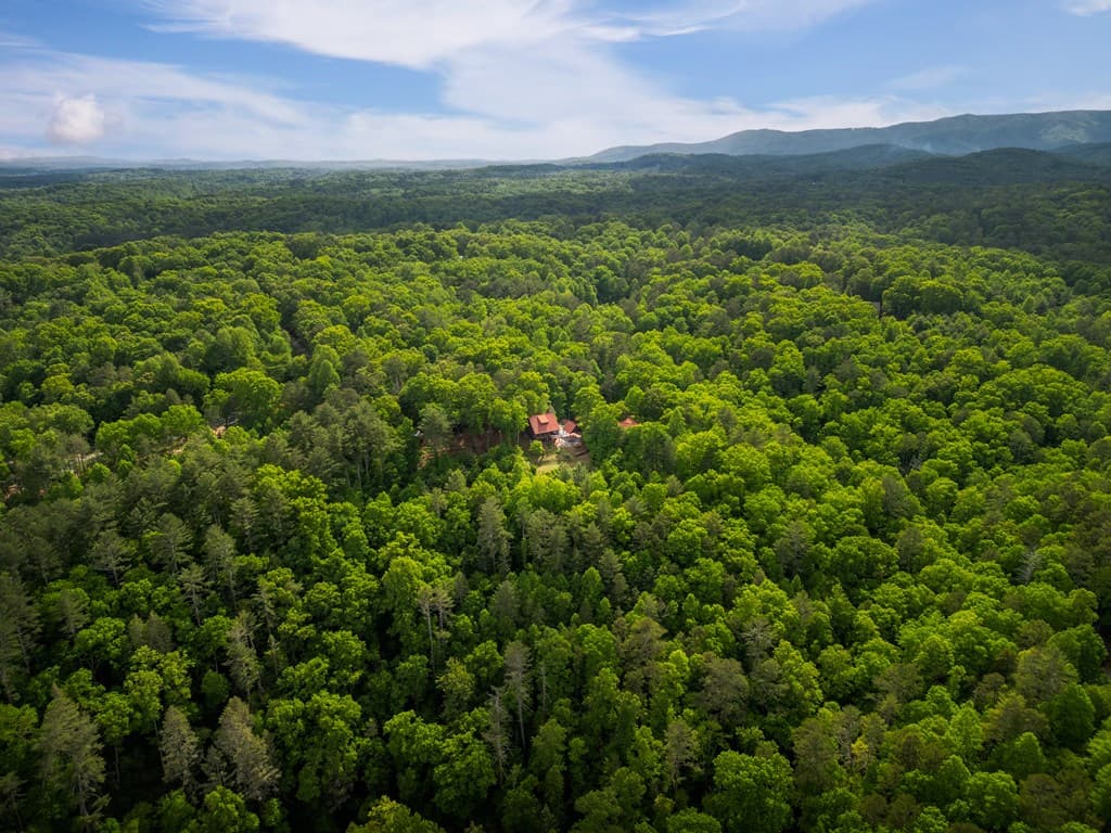 170 Wildwood Court, Ellijay GA 30540 - Photo