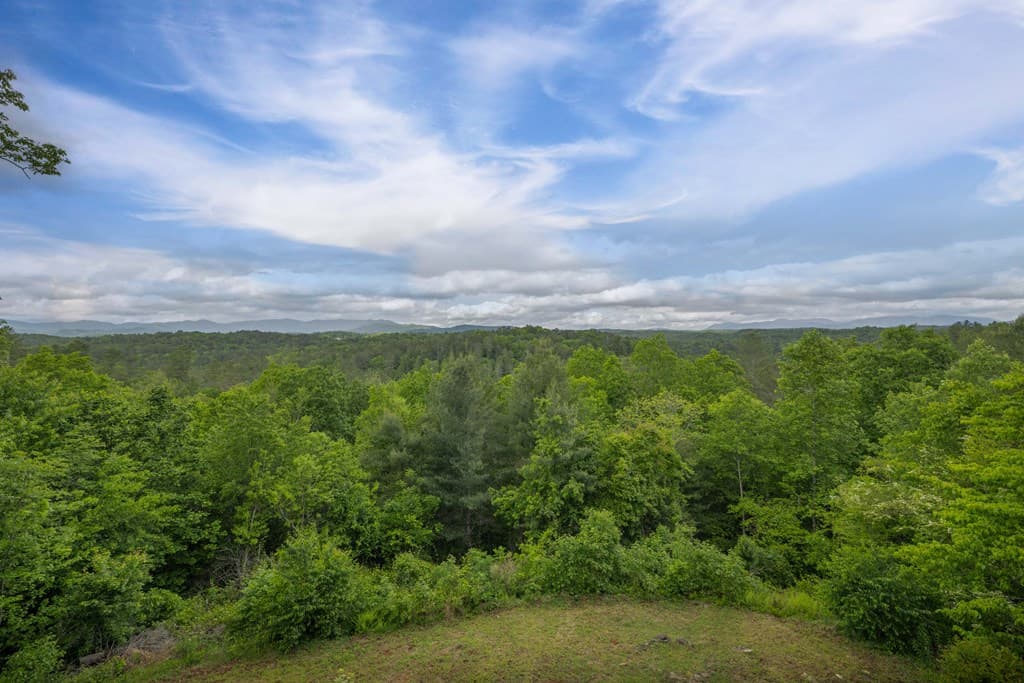 170 Wildwood Court, Ellijay GA 30540 - Photo