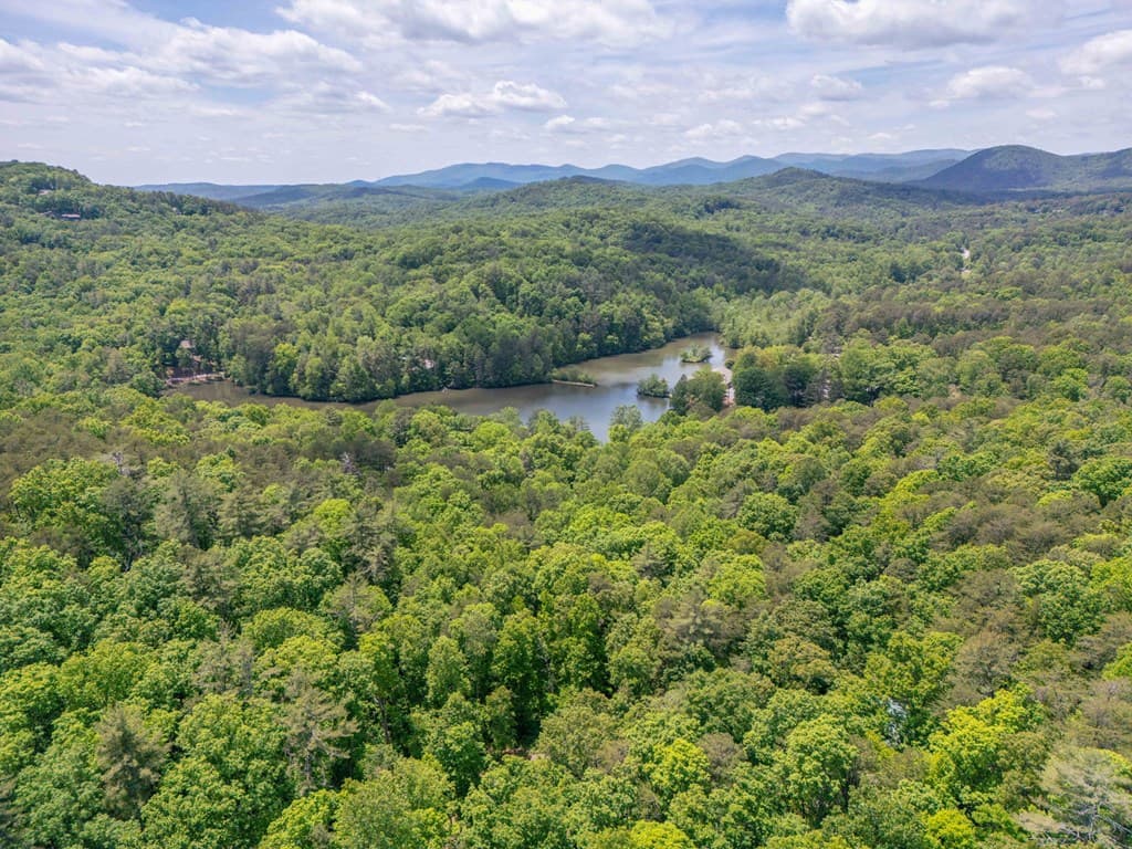 254 Star Lake Lane, Sautee Nacoochee GA 30571 - Photo