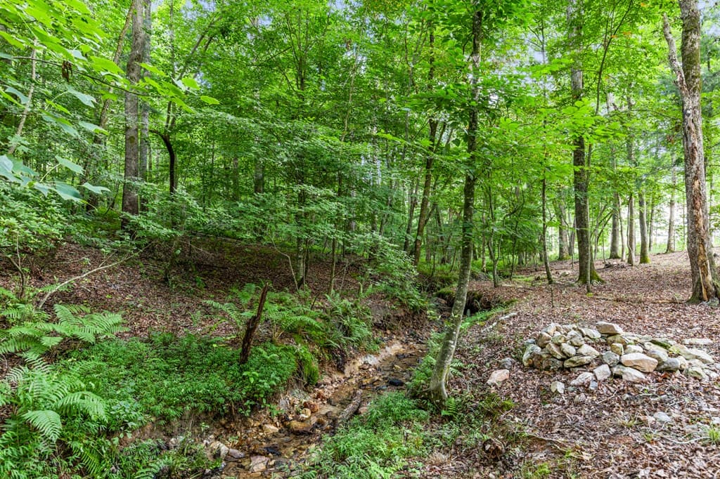 101 Christian Court, Blairsville GA 30512 - Photo