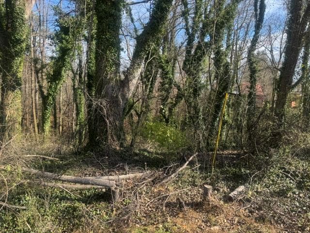 .90 acre Highland Street, Blue Ridge GA 30513 - Photo