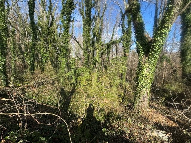 .90 acre Highland Street, Blue Ridge GA 30513 - Photo
