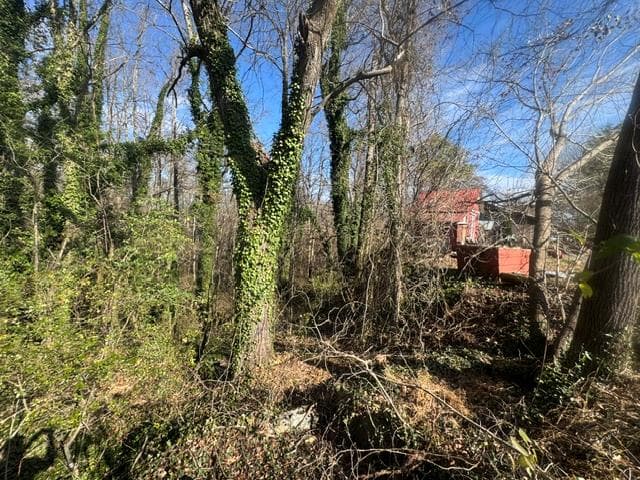 .90 acre Highland Street, Blue Ridge GA 30513 - Photo