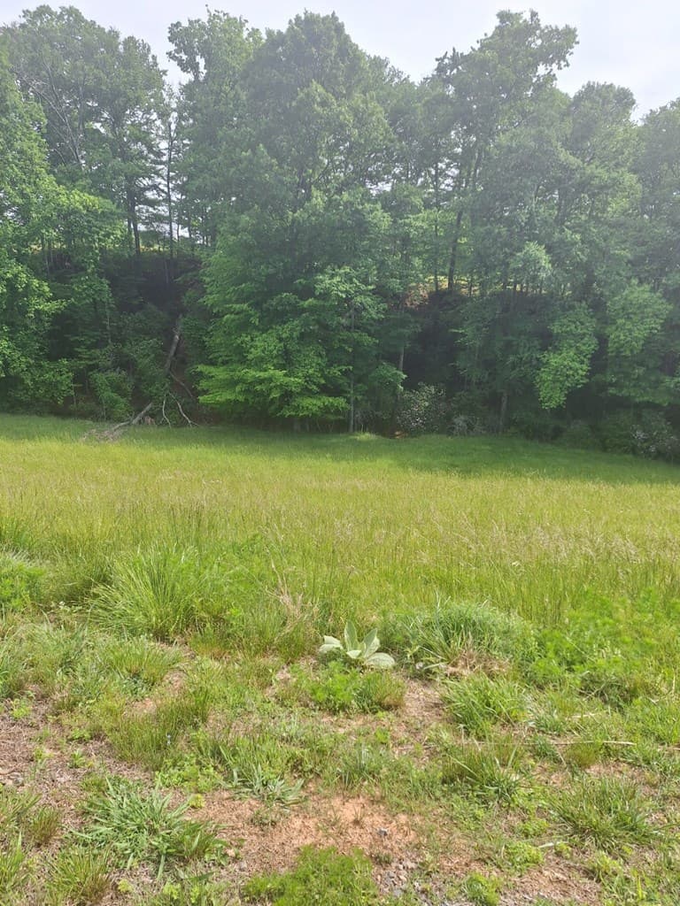 Lot 67 Hillside, Morganton GA 30560 - Photo