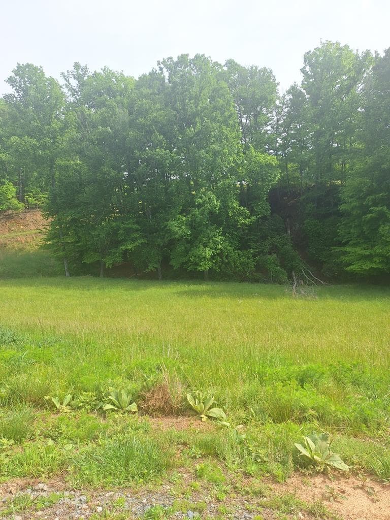 Lot 67 Hillside, Morganton GA 30560 - Primary photo
