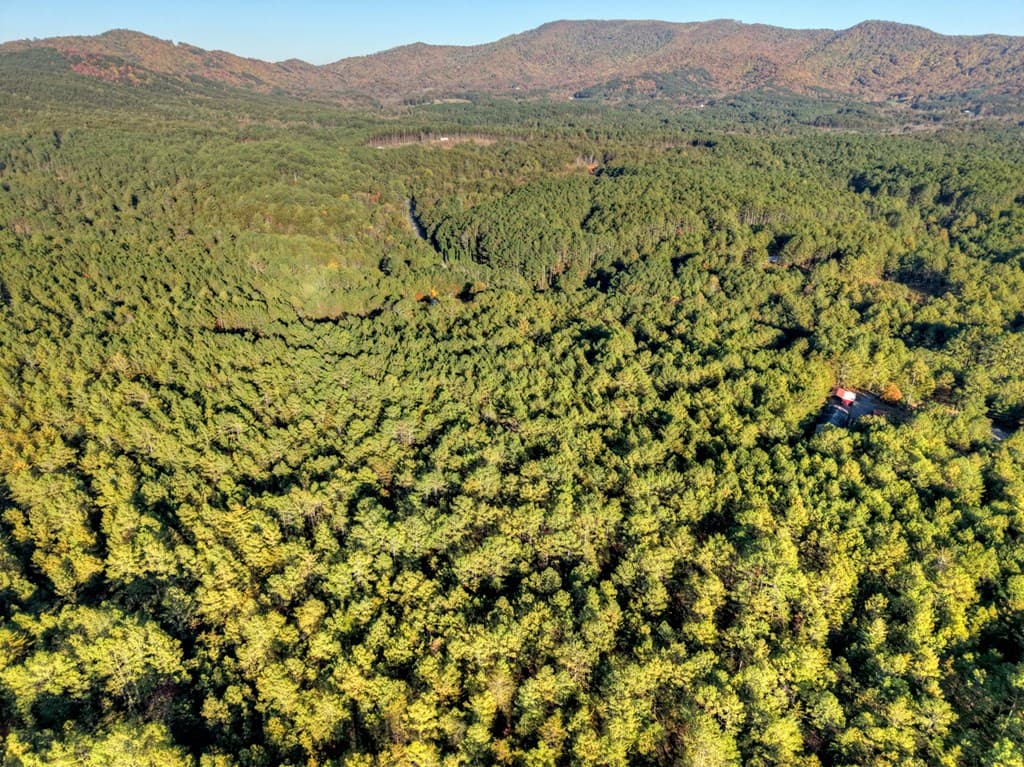 0 Stansbury Mountain Road, Copperhill TN 37317 - Photo