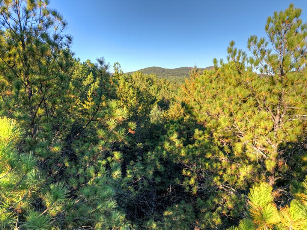 0 Stansbury Mountain Road, Copperhill TN 37317 - Photo