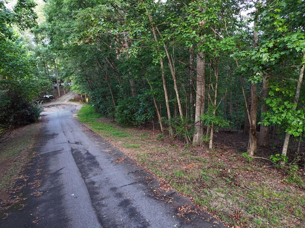 L 48C Byron Street, Blairsville GA 30512 - Photo