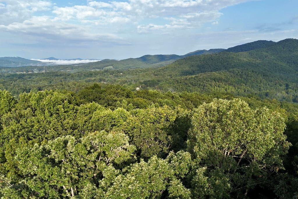 L 48C Byron Street, Blairsville GA 30512 - Photo