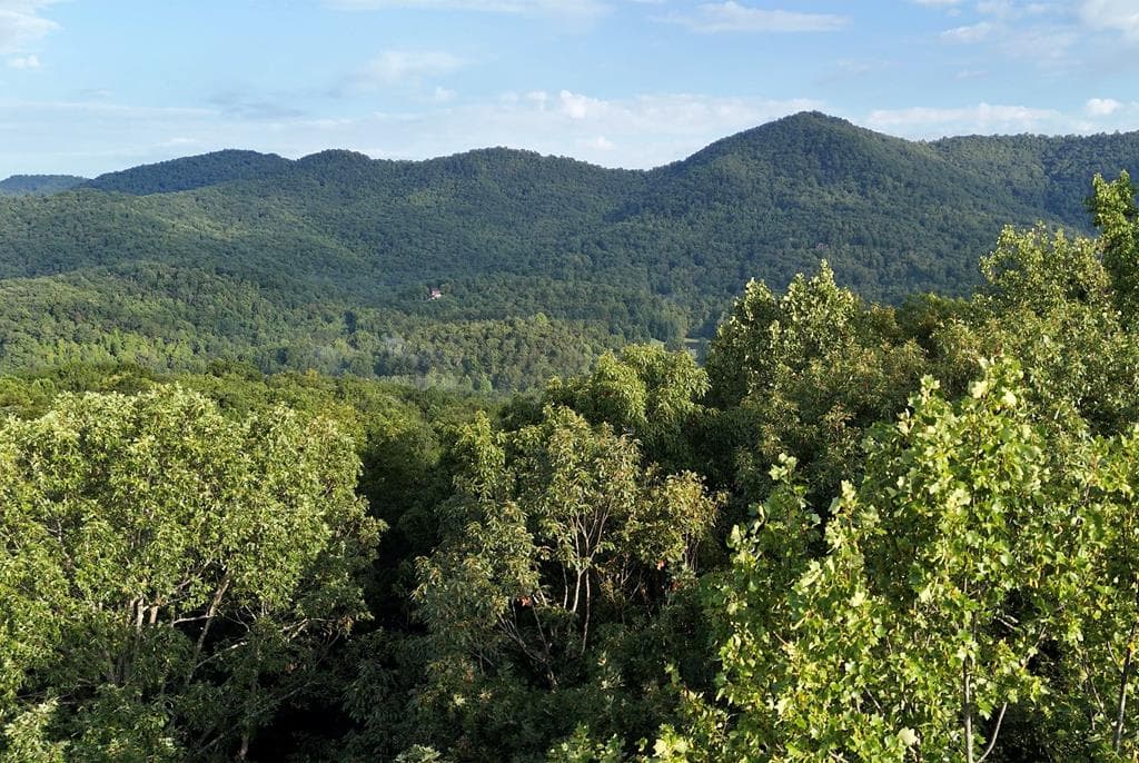 L 48C Byron Street, Blairsville GA 30512 - Photo