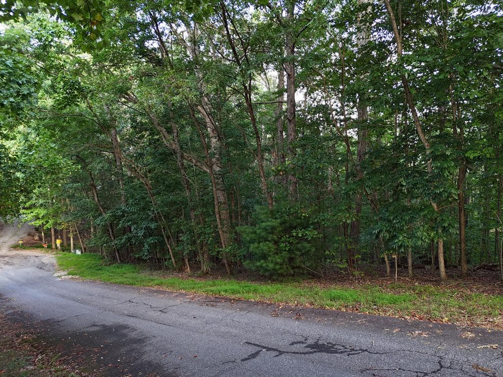 L 48C Byron Street, Blairsville GA 30512 - Photo