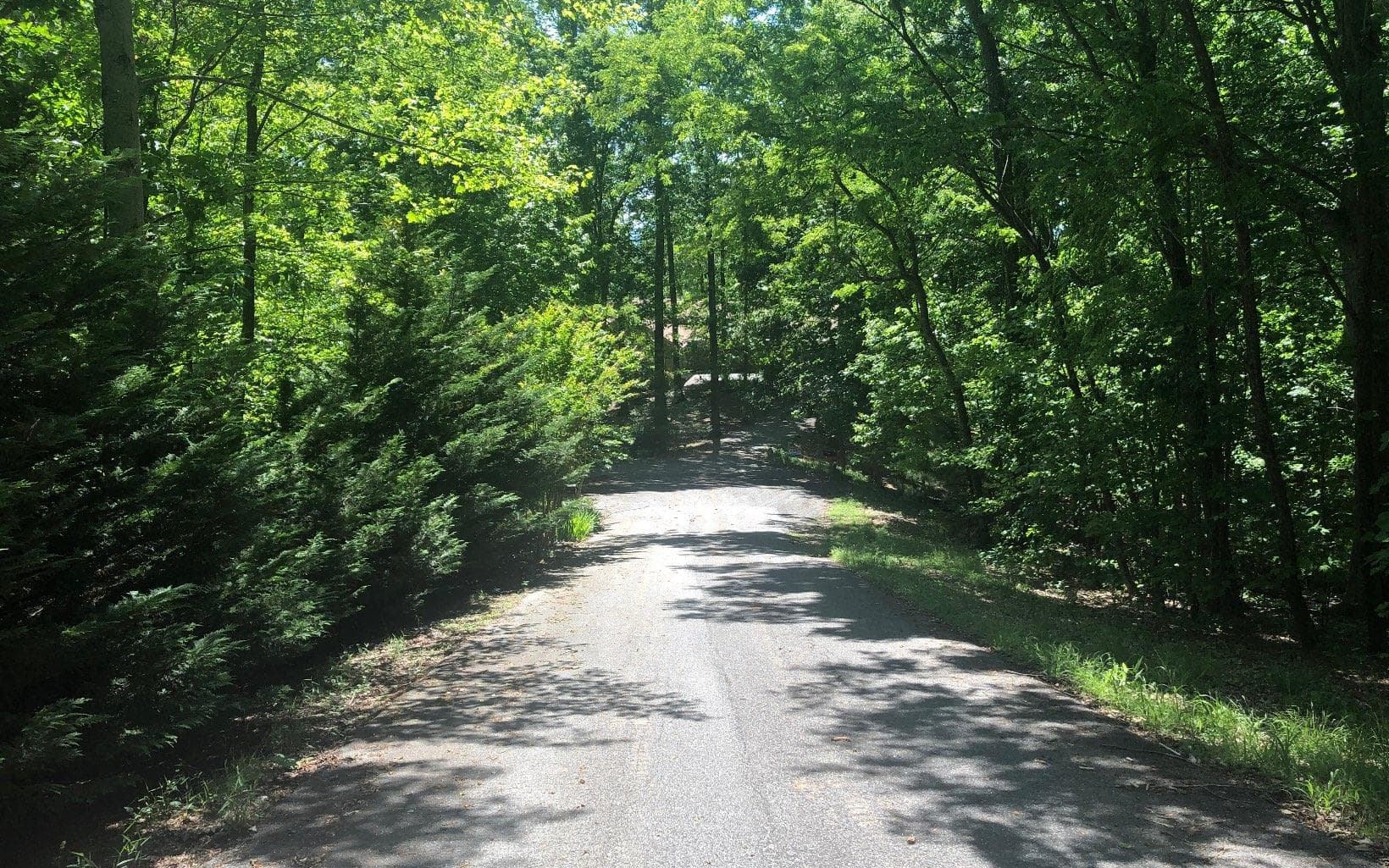 L 48C Byron Street, Blairsville GA 30512 - Primary photo