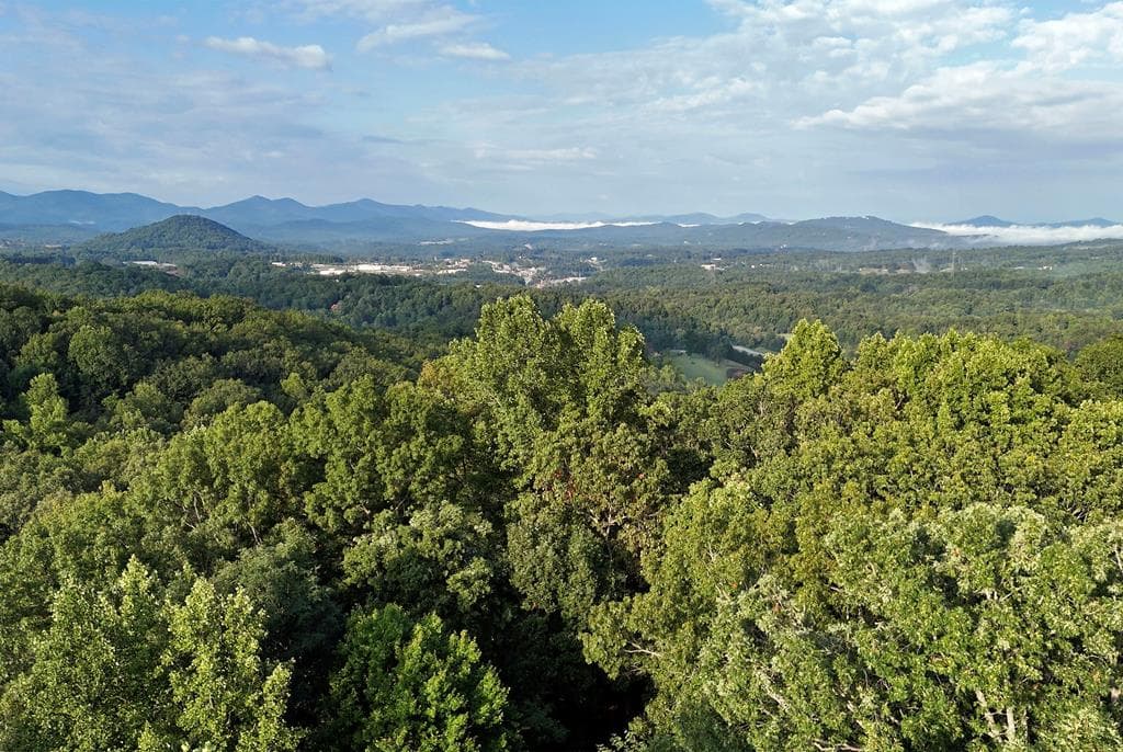 L 48C Byron Street, Blairsville GA 30512 - Photo