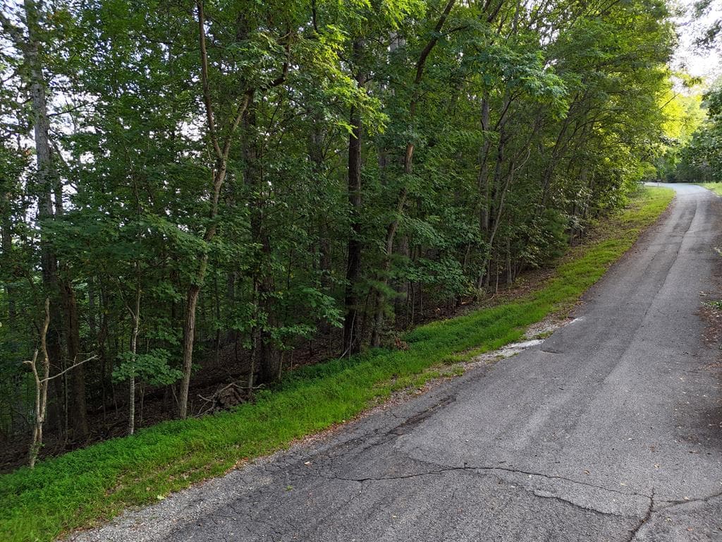 L 48C Byron Street, Blairsville GA 30512 - Photo