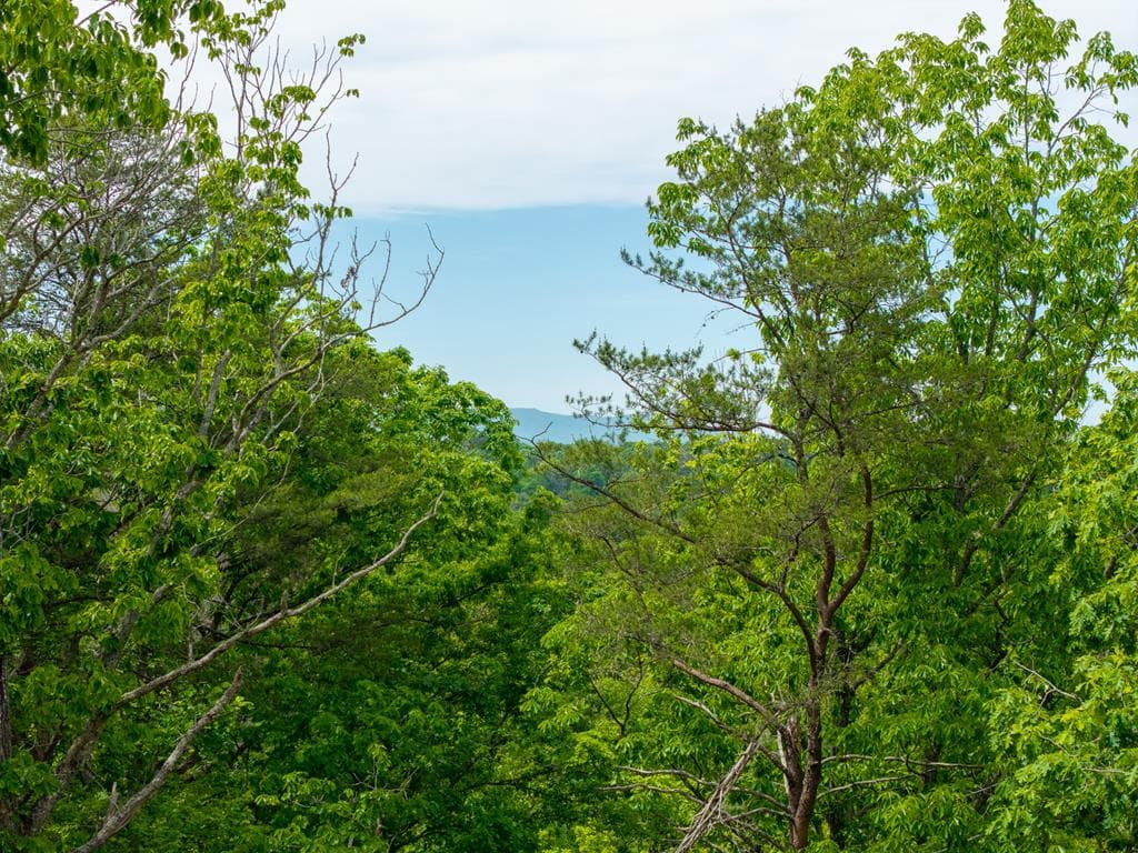 148 Virginia Drive, Blue Ridge GA 30513 - Photo