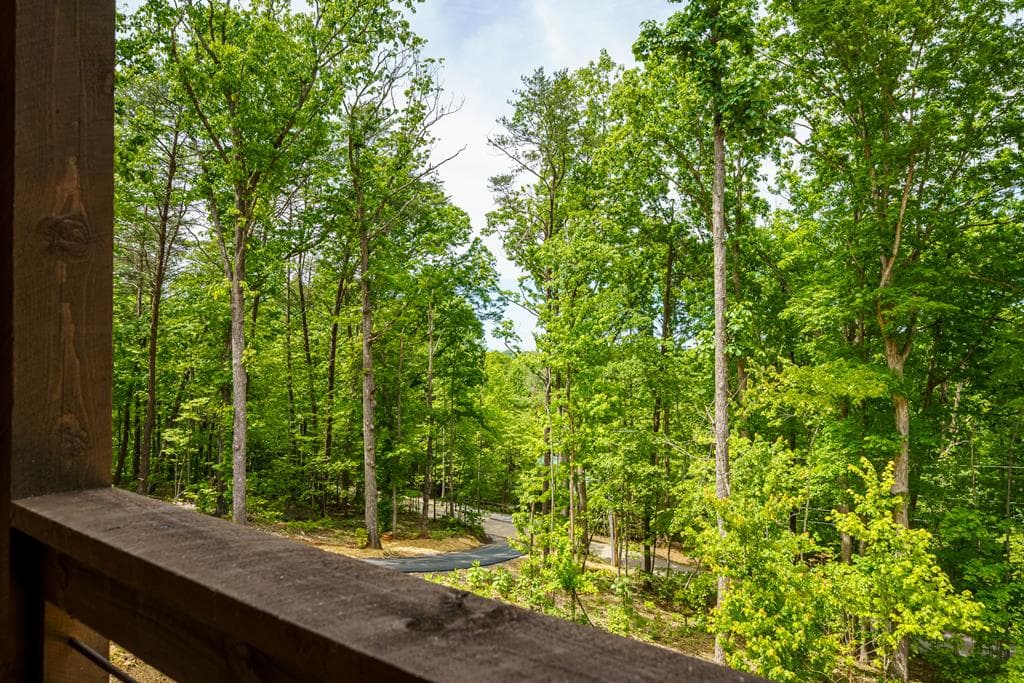 148 Virginia Drive, Blue Ridge GA 30513 - Photo