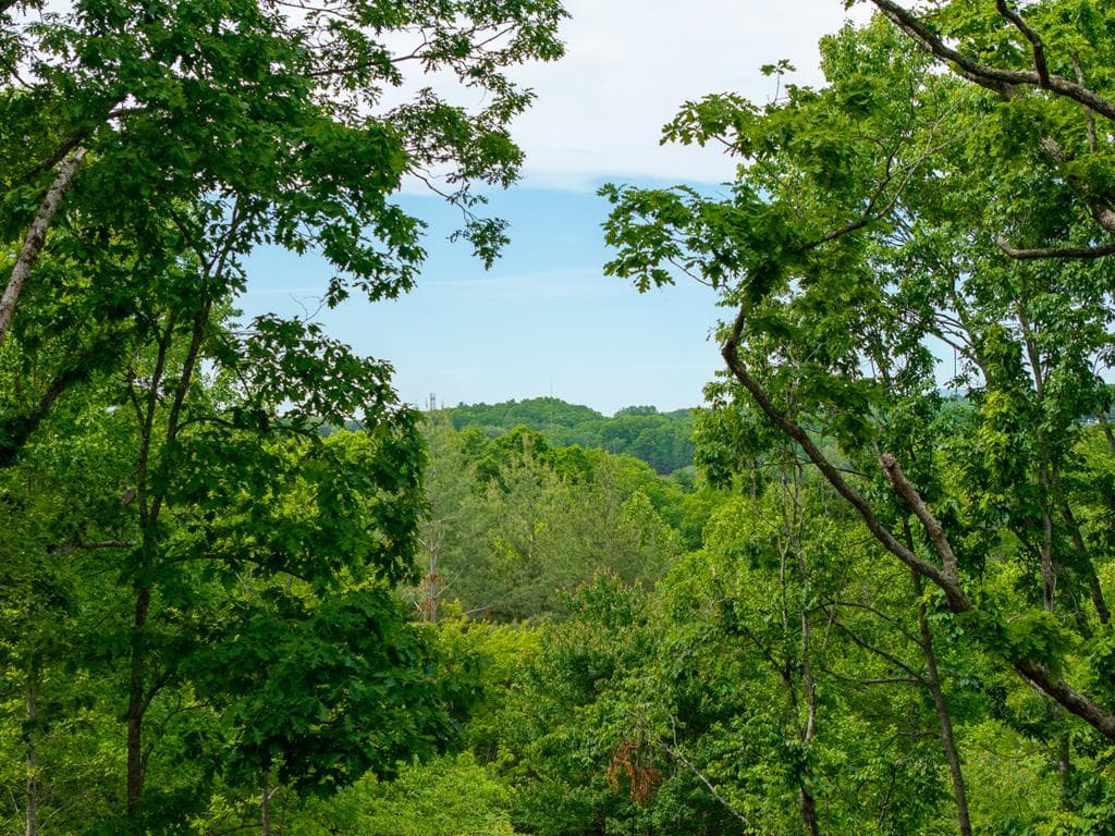 148 Virginia Drive, Blue Ridge GA 30513 - Photo