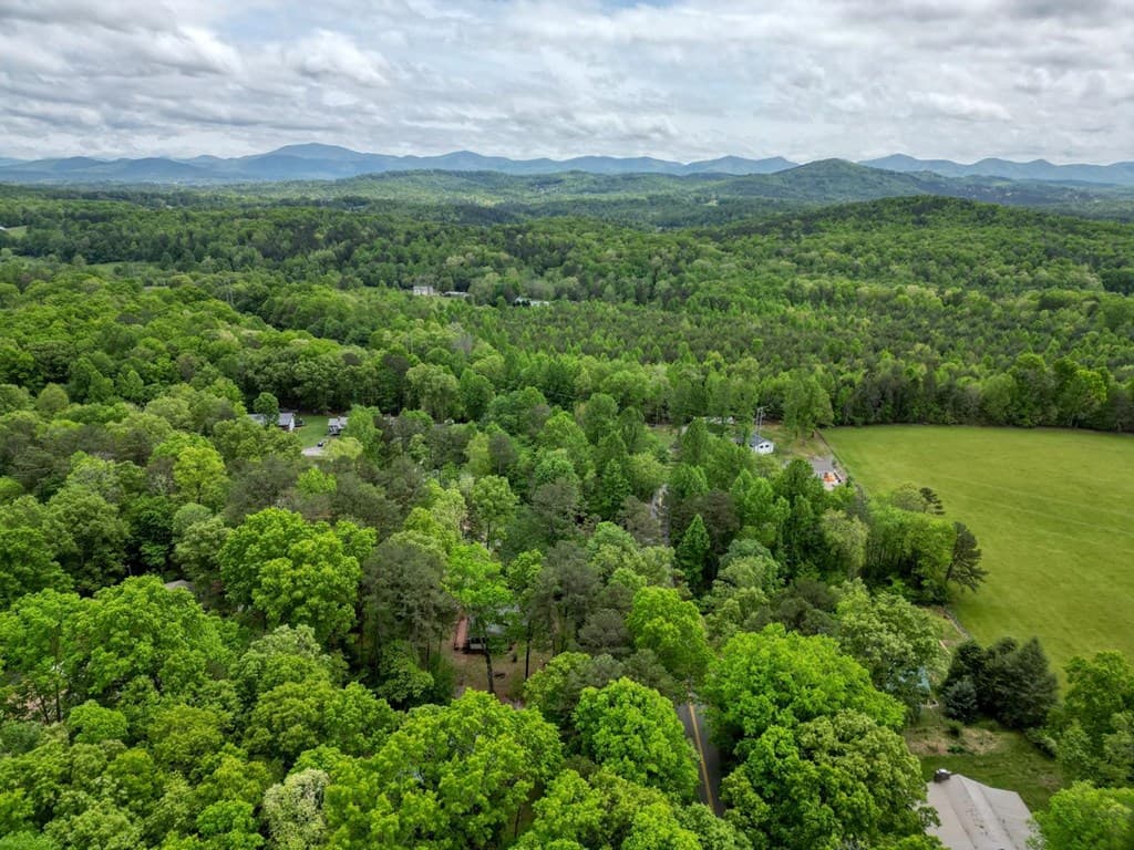 496 Forest Circle, Blairsville GA 30512 - Photo