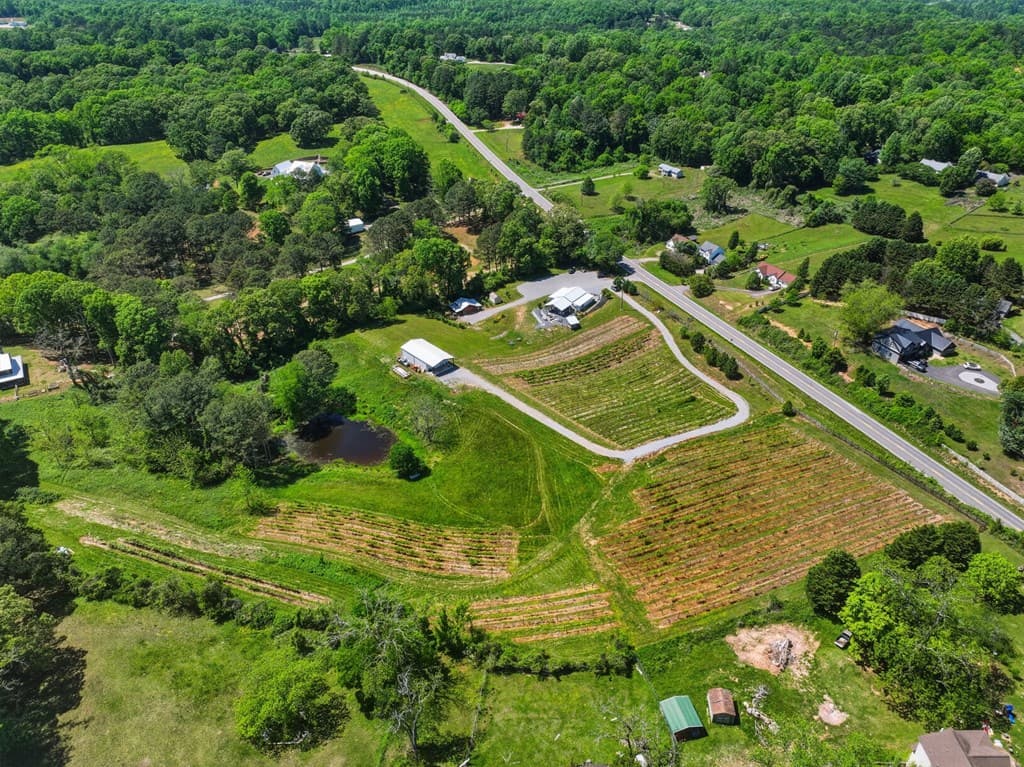 2317 Hwy 382, Ellijay GA 30540 - Photo