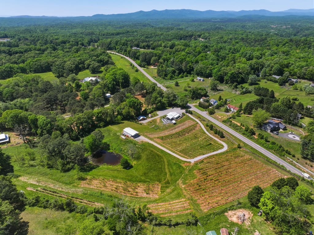 2317 Hwy 382, Ellijay GA 30540 - Photo