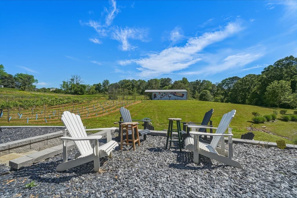 2317 Hwy 382, Ellijay GA 30540 - Photo