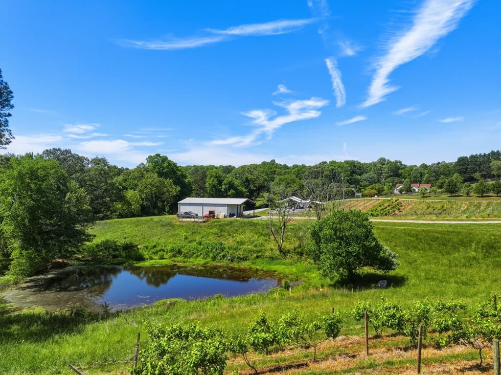 2317 Hwy 382, Ellijay GA 30540 - Photo