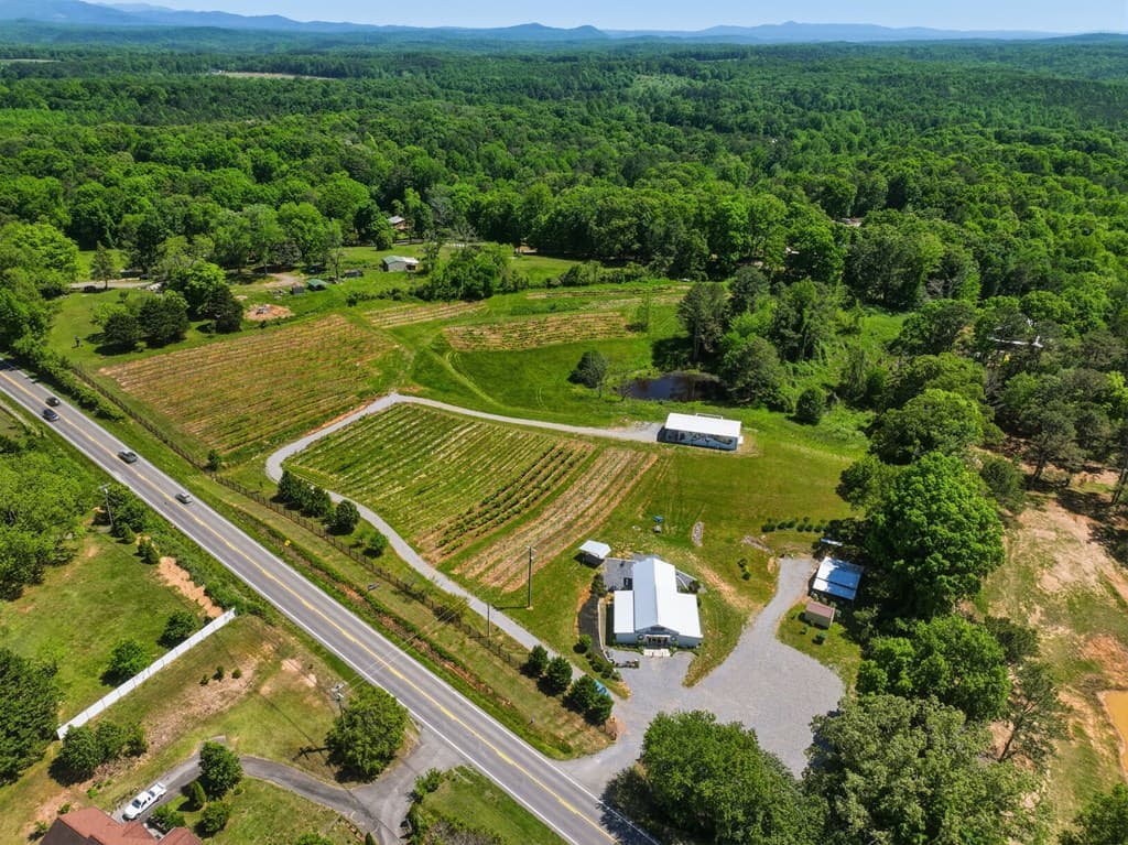 2317 Hwy 382, Ellijay GA 30540 - Photo