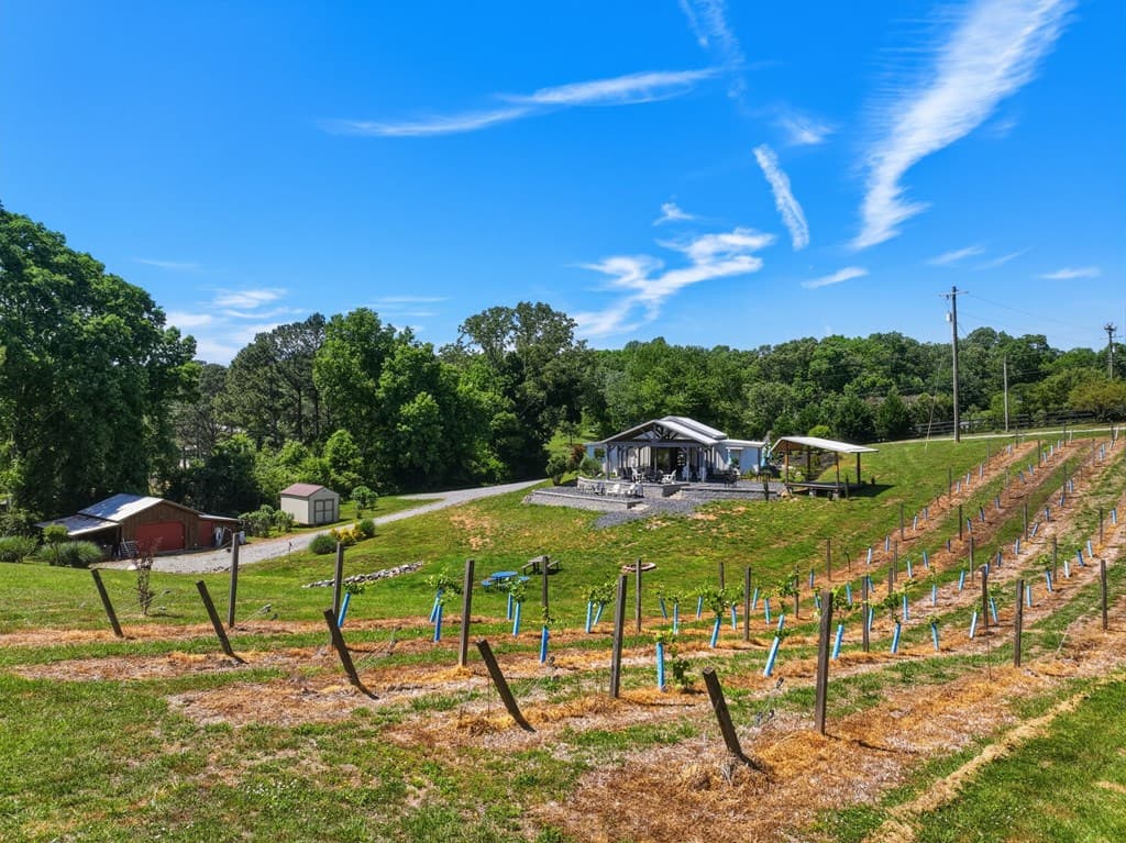 2317 Hwy 382, Ellijay GA 30540 - Photo