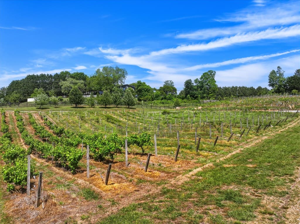 2317 Hwy 382, Ellijay GA 30540 - Photo