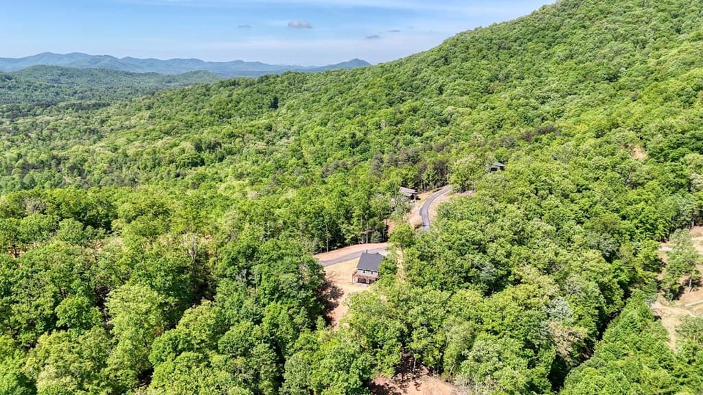 296 Peaks Drive, Hayesville NC 28904 - Photo
