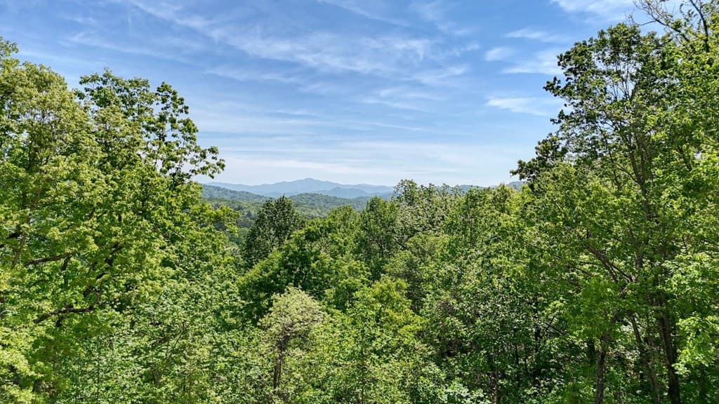 296 Peaks Drive, Hayesville NC 28904 - Photo