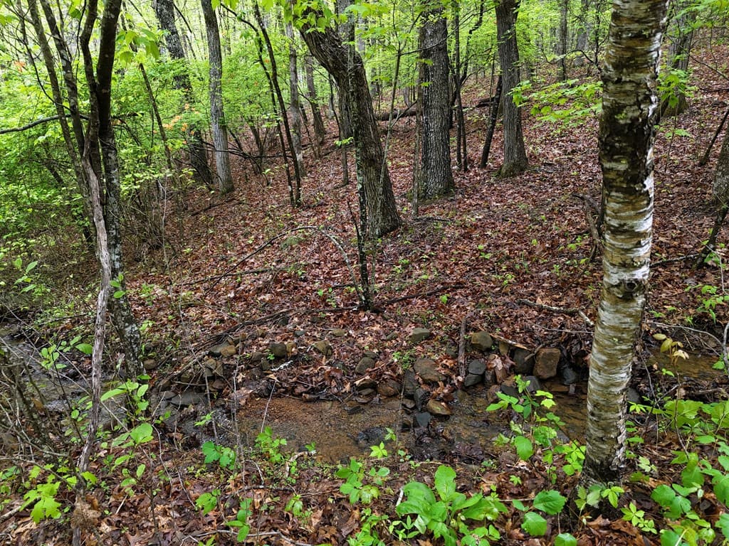 L93-95 Timberline, Young Harris GA 30582 - Photo