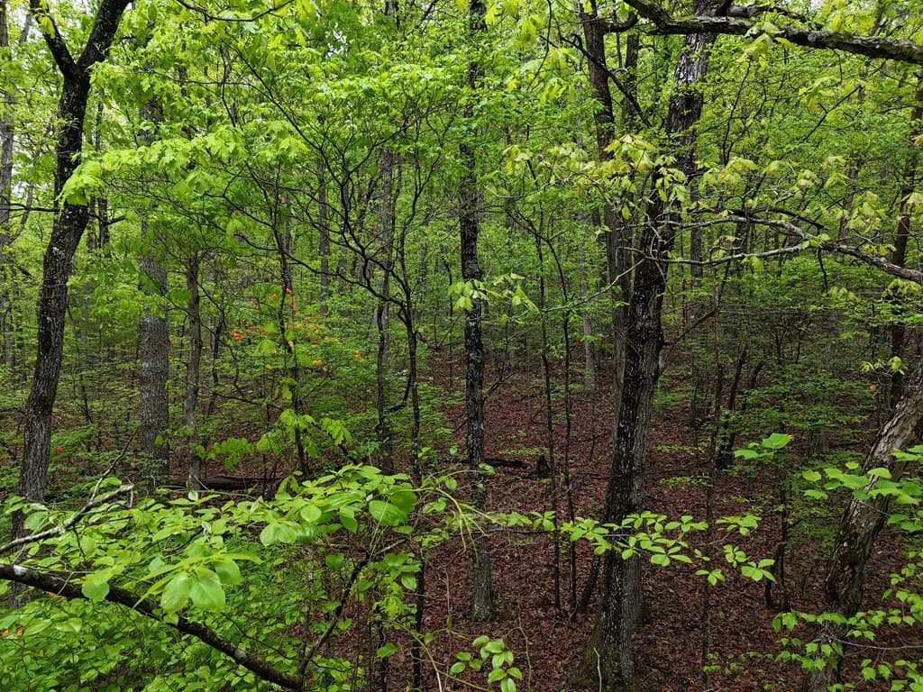 L93-95 Timberline, Young Harris GA 30582 - Photo