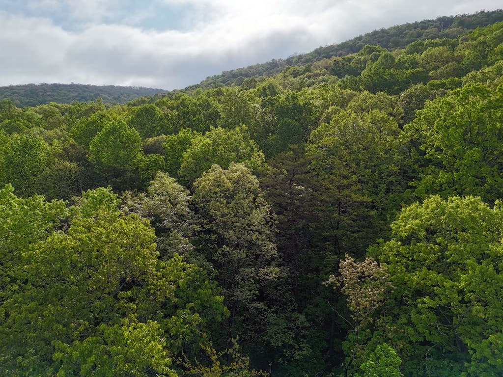 L93-95 Timberline, Young Harris GA 30582 - Photo