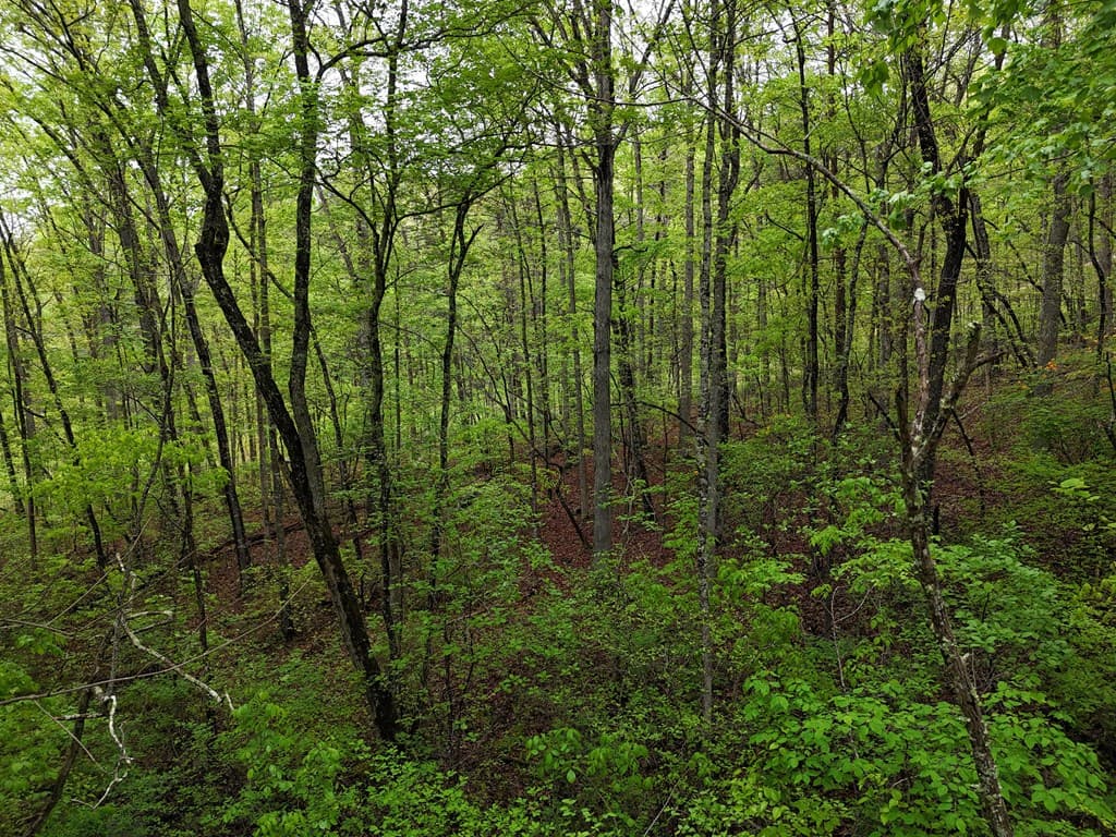 L93-95 Timberline, Young Harris GA 30582 - Photo