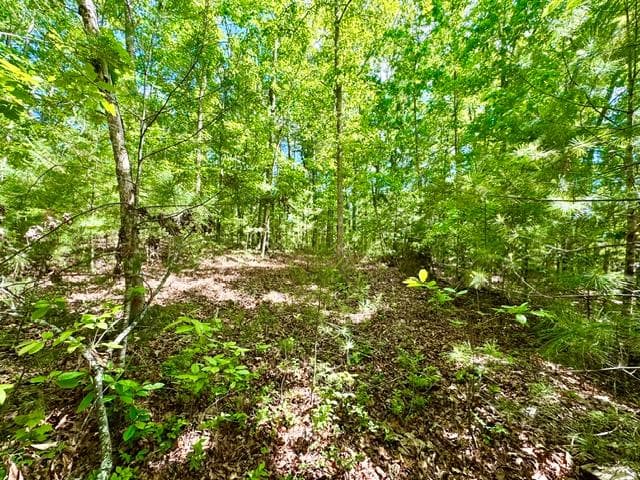 LT 3 Rockridge Road, Murphy 26906 - Photo