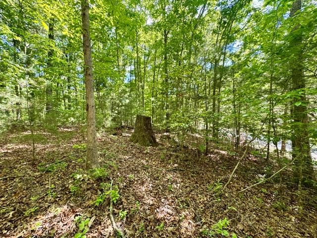 LT 3 Rockridge Road, Murphy 26906 - Photo